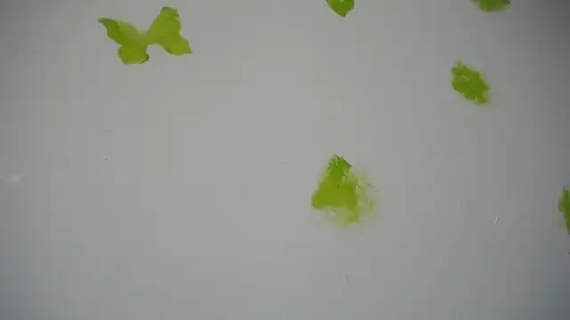 RACHELL  HOT online show from September 30, 2025, 6:36 pm