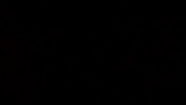 Flaquito pitudo online show from March 9, 2025, 9:57 am