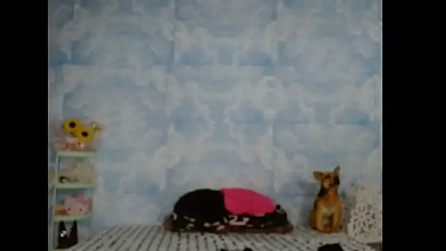 Valerii Gil online show from March 3, 2026, 7:37 am