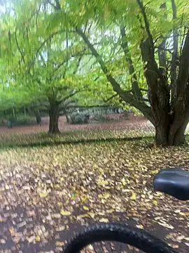 Snapshot of Shyboy817 chatting on October 22, 2025, 2:49 pm Shyboy817 online show from October 22, 2025, 2:49 pm