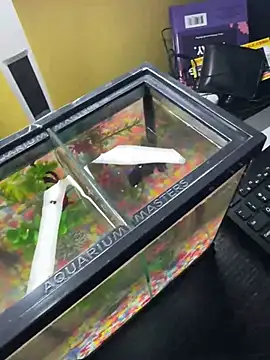 VFuck4U xxx online show from March 10, 2025, 1:21 pm