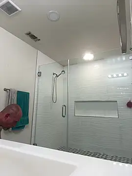 Snapshot of El_Gizmo chatting on February 20, 2025, 6:57 pm El Gizmo online show from February 20, 2025, 6:57 pm