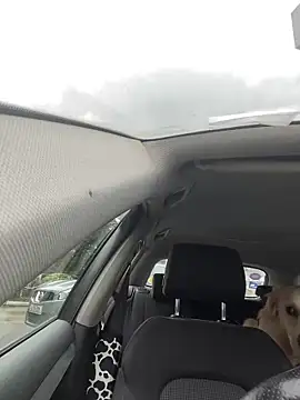 Snapshot of notlikeothergirlsEW12 chatting on January 12, 2025, 3:03 pm notlikeothergirlsEW12 online show from January 12, 2025, 3:03 pm