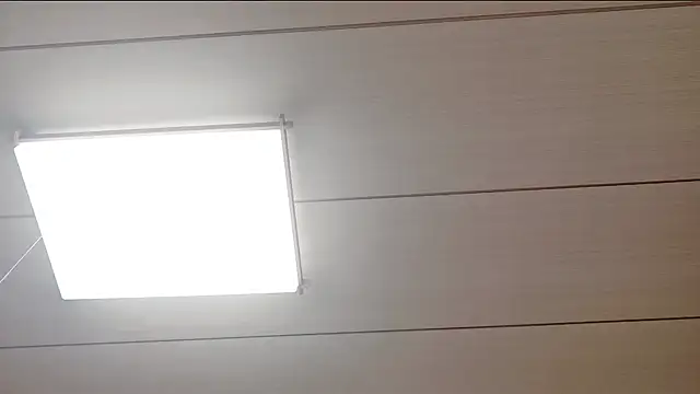 xxArisaxx online show from February 11, 2026, 6:02 am