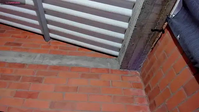 sainix  online show from December 4, 2024, 12:24 am