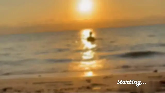 Liam Taylor online show from February 19, 2025, 12:00 pm