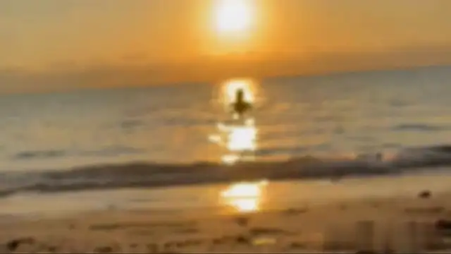 Liam Taylor online show from September 24, 2025, 10:48 pm