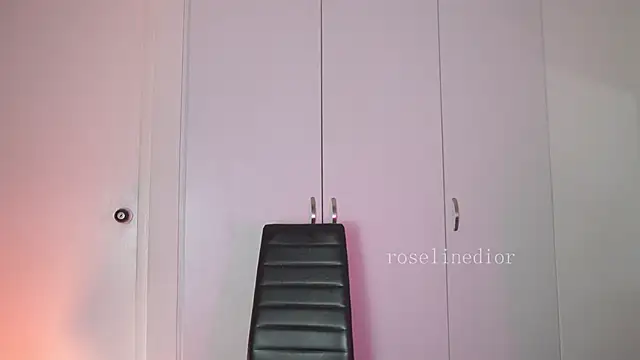 Snapshot of roselinedior chatting on February 6, 2026, 2:02 pm roselinedior online show from February 6, 2026, 2:02 pm