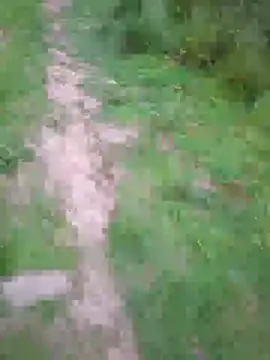 Snapshot of FreezingTie850 chatting on May 27, 2026, 8:16 pm FreezingTie850 online show from May 27, 2026, 8:16 pm