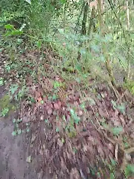 FreezingTie850 online show from April 14, 2026, 10:09 am