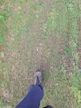 FreezingTie850 online show from April 16, 2026, 7:53 am