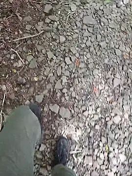 Snapshot of FreezingTie850 chatting on May 12, 2026, 9:26 am FreezingTie850 online show from May 12, 2026, 9:26 am