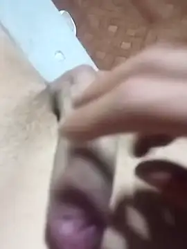 El22 1431 online show from November 28, 2025, 5:18 am