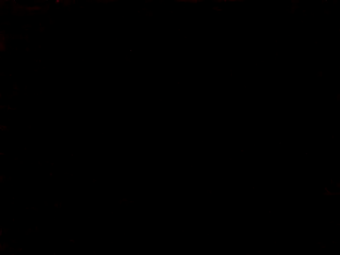 BIGPINKBYRD online show from March 1, 2026, 2:00 am