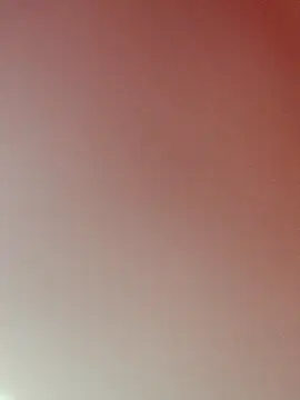 zhenzhen521 online show from February 22, 2026, 2:52 pm