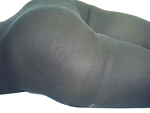 candililie online show from September 12, 2025, 6:46 am