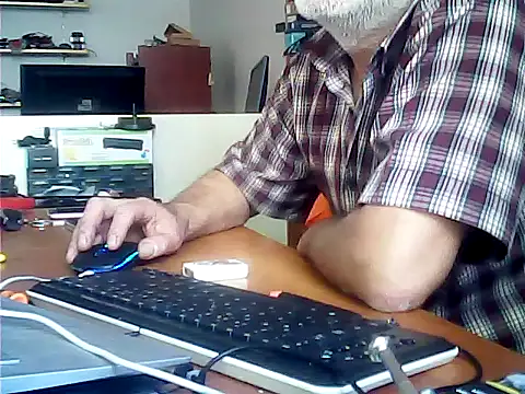 zormen355 online show from June 16, 2026, 9:09 am