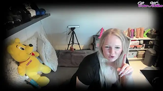 caro kitten online show from March 21, 2025, 8:17 am