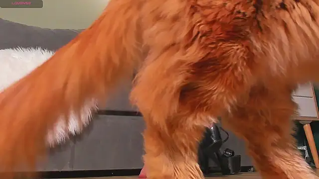 mistresslecter online show from March 22, 2026, 3:54 am