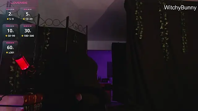 Snapshot of witchybunny chatting on December 31, 2024, 10:58 am witchybunny online show from December 31, 2024, 10:58 am