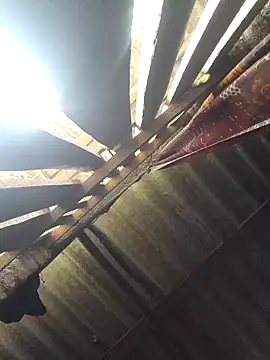 HotSexyBoudi online show from October 7, 2025, 8:59 am