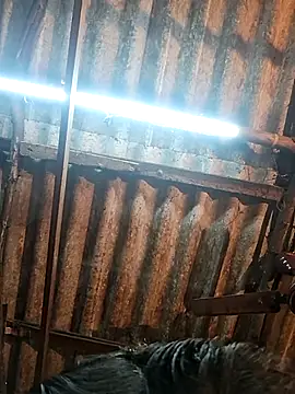 HotSexyBoudi online show from December 15, 2025, 9:04 am