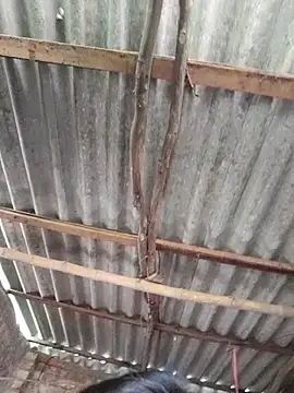 HotSexyBoudi online show from October 15, 2025, 9:06 am