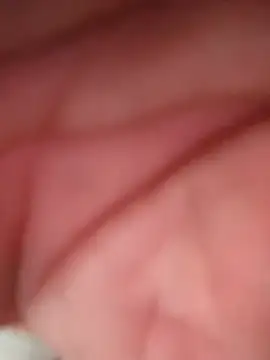 Snapshot of WilldoPita chatting on February 10, 2026, 4:17 pm WilldoPita online show from February 10, 2026, 4:17 pm