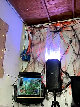 sweet kamil online show from October 31, 2025, 3:03 am