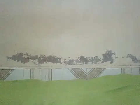 Naivegirrl online show from July 16, 2026, 4:48 pm
