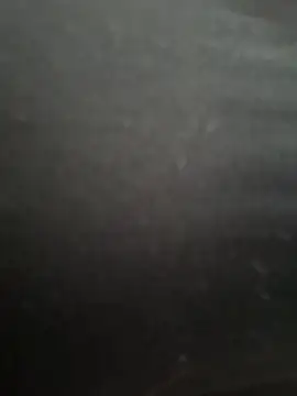 PaulinaDuarte online show from December 19, 2025, 1:46 pm