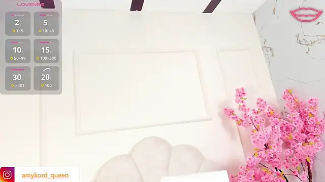 Amykord online show from September 24, 2025, 11:50 am