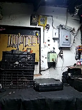 pene latinoriico online show from October 14, 2025, 5:19 am