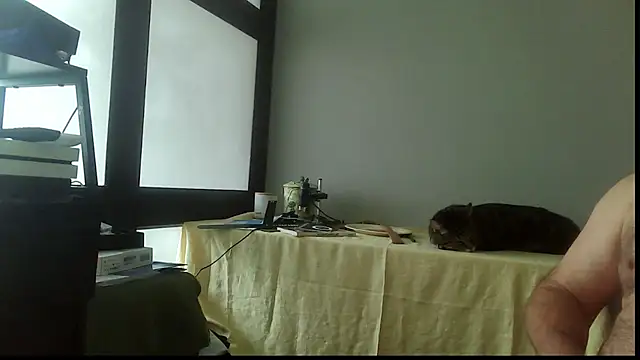 SexWorkerX online show from November 15, 2025, 4:22 pm