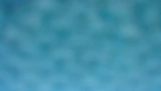 BarbaraTurners online show from October 8, 2025, 6:19 pm