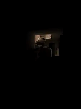 RIP Curl online show from November 28, 2025, 7:19 am