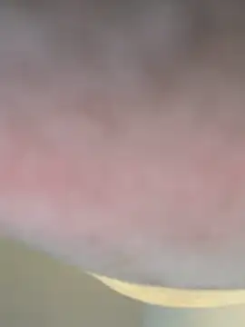 ashley Tompson1 online show from March 19, 2026, 11:10 am