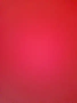 Priya Bong online show from November 8, 2025, 7:34 am