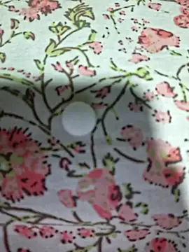 Priya Bong online show from April 3, 2026, 10:22 am