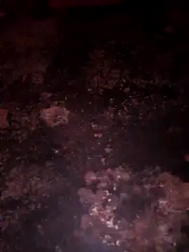 Priya Bong online show from December 20, 2025, 11:51 pm