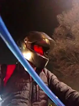 TattyFoxglove online show from February 12, 2026, 1:49 am