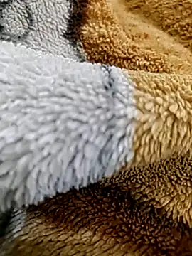 mrmukesh007 online show from February 26, 2025, 12:41 am