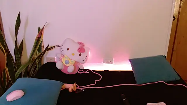 Snapshot of kittycatw chatting on February 24, 2026, 9:21 am kittycatw online show from February 24, 2026, 9:21 am