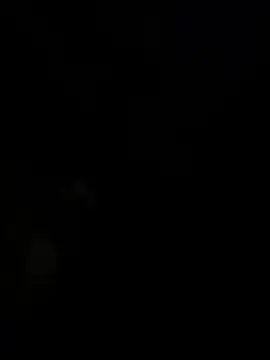 Snapshot of panchito3512 chatting on December 14, 2024, 3:06 am panchito3512 online show from December 14, 2024, 3:06 am