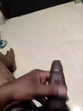 saiTeluguhyd online show from January 25, 2025, 7:49 pm