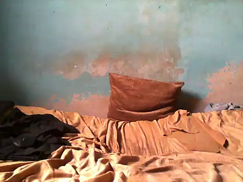 little  joy online show from February 7, 2026, 2:58 pm