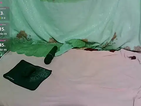 Snapshot of Stumpy_Governor chatting on April 1, 2026, 8:17 pm Stumpy Governor online show from April 1, 2026, 8:17 pm