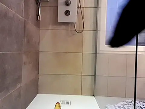 Snapshot of nfean2 chatting on November 30, 2025, 3:57 pm nfean2 online show from November 30, 2025, 3:57 pm