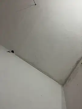 Snapshot of canderodrig777 chatting on October 18, 2025, 8:00 pm canderodrig777 online show from October 18, 2025, 8:00 pm