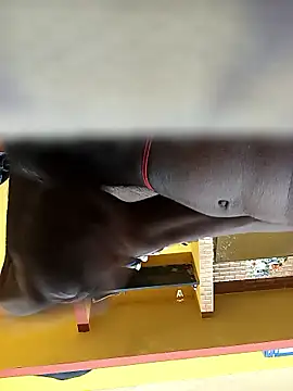 Tamil boy age28 online show from January 12, 2026, 3:35 am